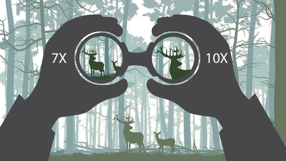 Understanding Magnification Types (zoom vs fixed binoculars)